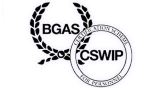 BGASCSWIP